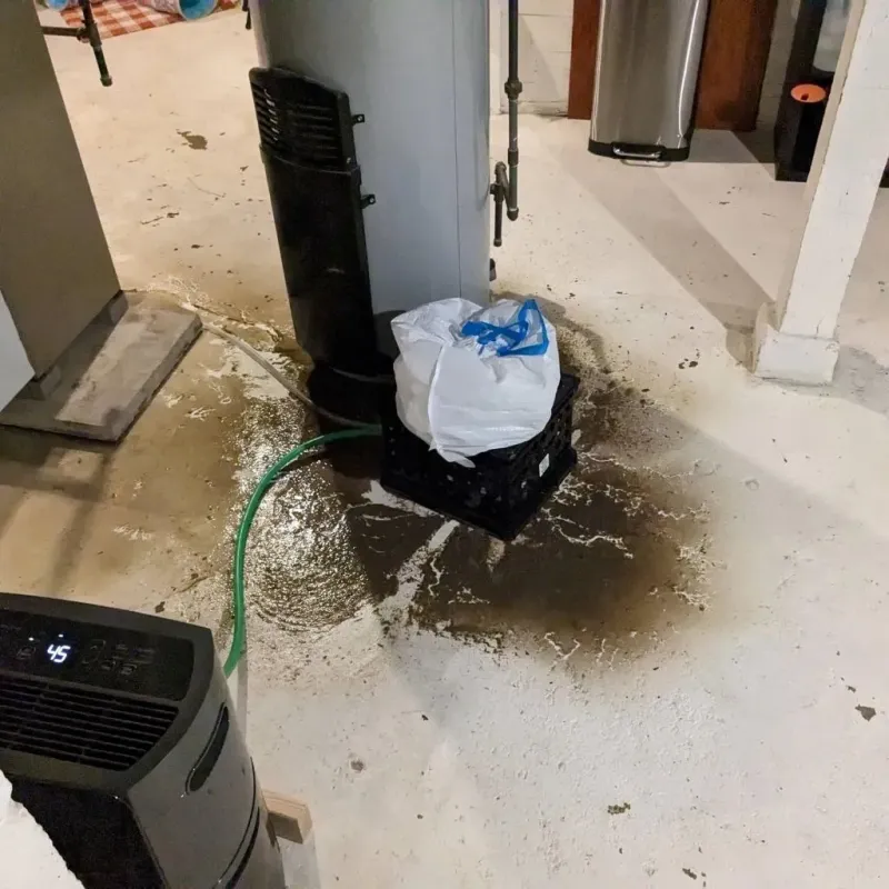 Sewage Backup Cleanup Service in Howard County, MD